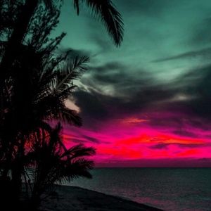 Meet your Posher, Misty